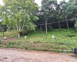 Terreno com 300m², Nao suíte, no bairro Guadalupe em Marau