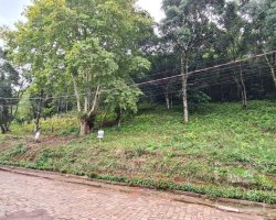 Terreno com 300m², Nao suíte, no bairro Guadalupe em Marau