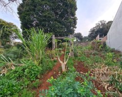 Terreno com 711m², Nao suíte, no bairro Bosque em Marau