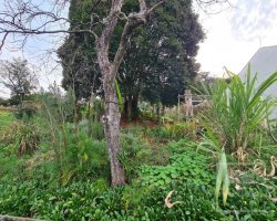 Terreno com 711m², Nao suíte, no bairro Bosque em Marau