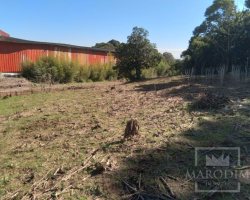 Área com 4600m², Nao suíte, no bairro Loteamento Busnello em Marau