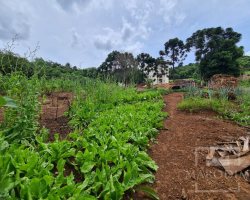 Terreno com 555m², Nao suíte, no bairro Carolo em Marau