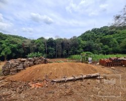 Terreno com 555m², Nao suíte, no bairro Carolo em Marau