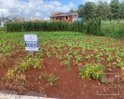 Terreno com 436m², Nao suíte, no bairro Villa Bella em Marau