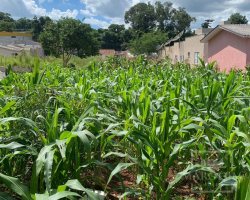 Terreno com 300m², Nao suíte, no bairro Portal do Sol em Marau