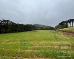 Terreno com 1500m², Nao suíte, no bairro Interior em Marau