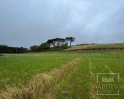 Terreno com 1500m², Nao suíte, no bairro Interior em Marau