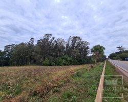 Área com 10977m², Nao suíte, no bairro Borges de Medeiros em Marau