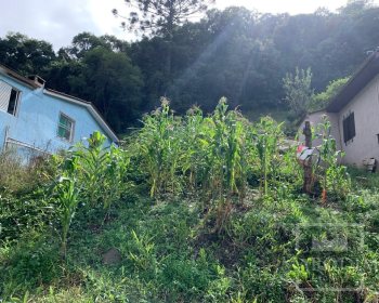 Terreno com 300m², Nao suíte, no bairro Loteamento Fachini em Marau