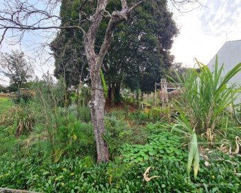 Terreno com 711m², Nao suíte, no bairro Bosque em Marau