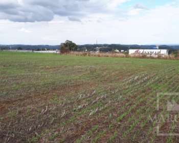 Área com 17500m², Nao suíte, no bairro Frei Adelar em Marau