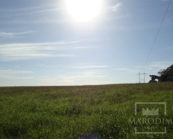 Terreno com 26933000m², Nao suíte, no bairro Borges de Medeiros em Marau