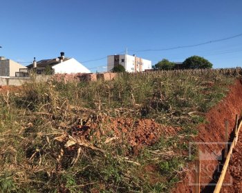 Terreno com 319m², Nao suíte, no bairro Jardim  América em Marau