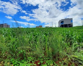 Terreno com 309m², Nao suíte, no bairro Villa Bella em Marau