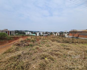 Terreno com 2388m², Nao suíte, no bairro Rodovia ERS 324 em Marau