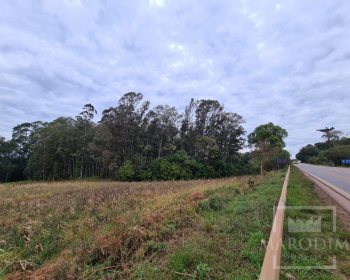 Área com 10977m², Nao suíte, no bairro Borges de Medeiros em Marau